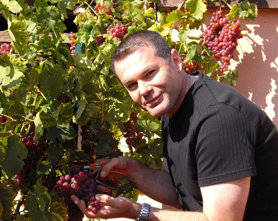 B&B Le Clos Des Raisins Бебльонайм Екстериор снимка